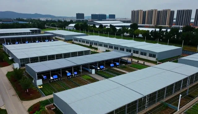 验收交付流程中的方案优化实践与应用